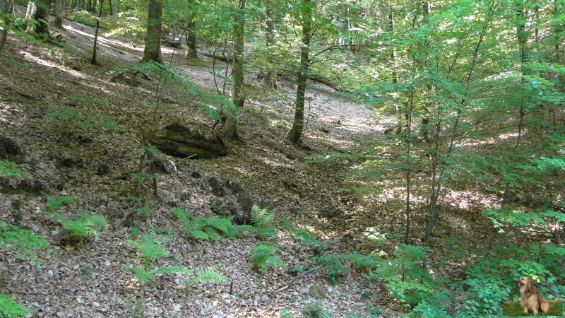 Ritterstein Nr. 177-4 Schmugglersdell.JPG - Ritterstein Nr.177 Schmugglersdell